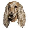 afghan hound embroidery design