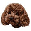 poodle toy embroidery design