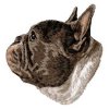 DD226FrenchBulldog65