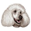 DD227PoodleHead65