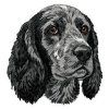 cocker spaniel embroidery design
