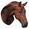 andalusian horse embroidery design