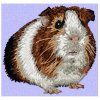 guinea pig embroidery design