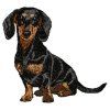 dachshund embroidery design