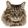 domestic longhair cat embroidery design