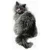 british longhair embroidery design