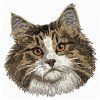 norwegian forest cat embroidery design