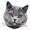british shorthair cat embroidery design