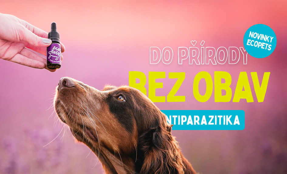 Antiparazitika pro psy. Přírodní i tradiční