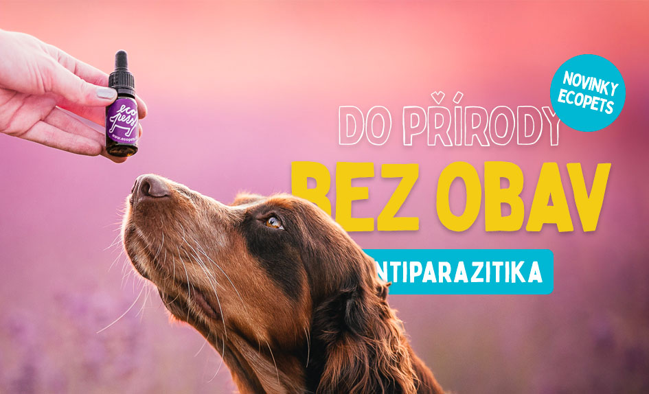 Antiparazitika pro psy. Přírodní i tradiční