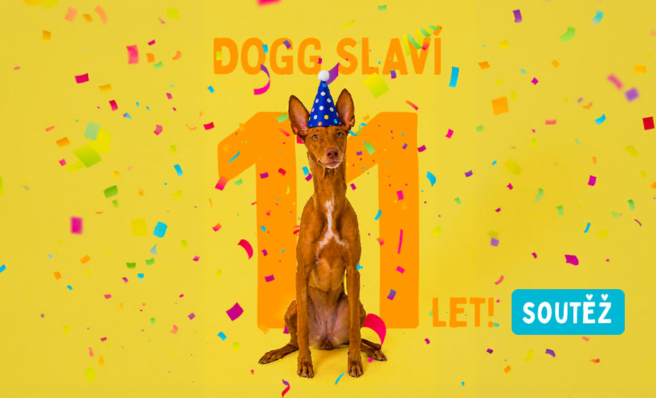 DOGG slaví 11 let, ale dárky dostaneš ty