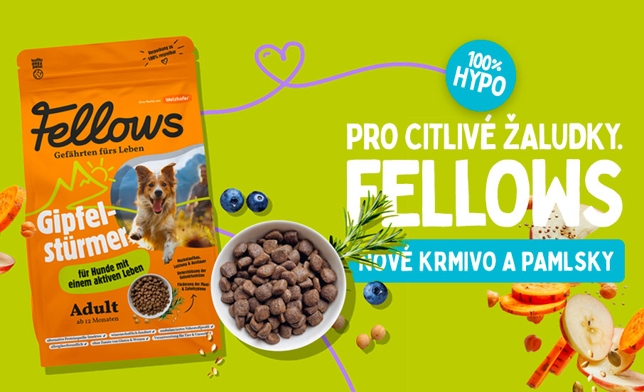 Fellows intro