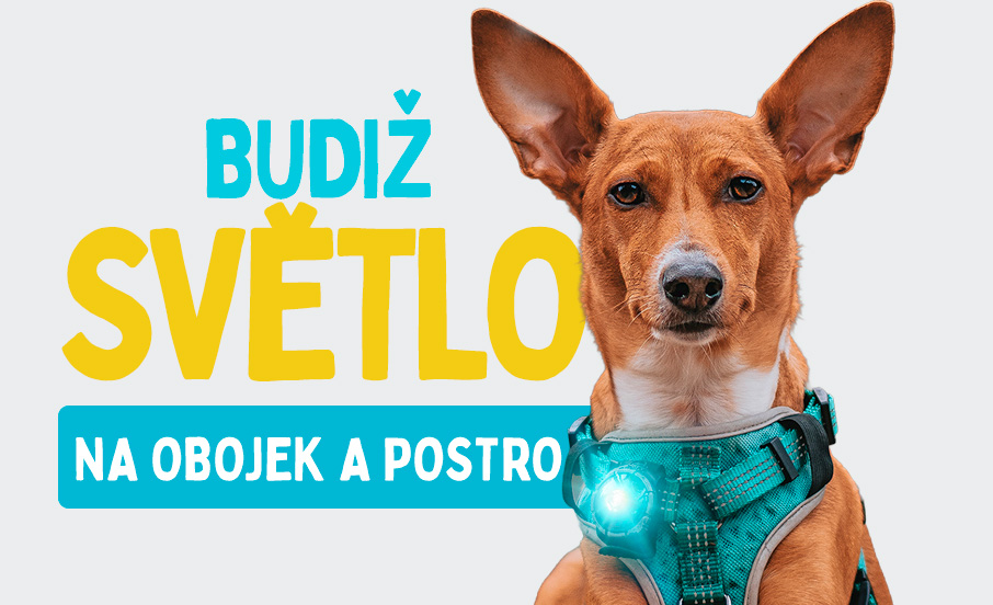 Orbiloc LED světlo na obojek a postroj