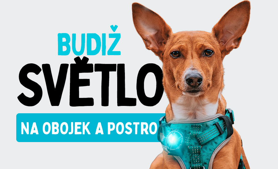 Orbiloc LED světlo na obojek a postroj