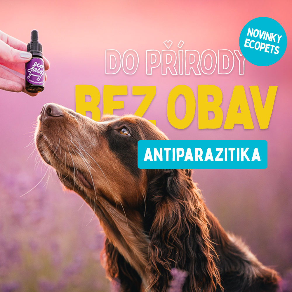 Antiparazitika pro psy. Přírodní i tradiční