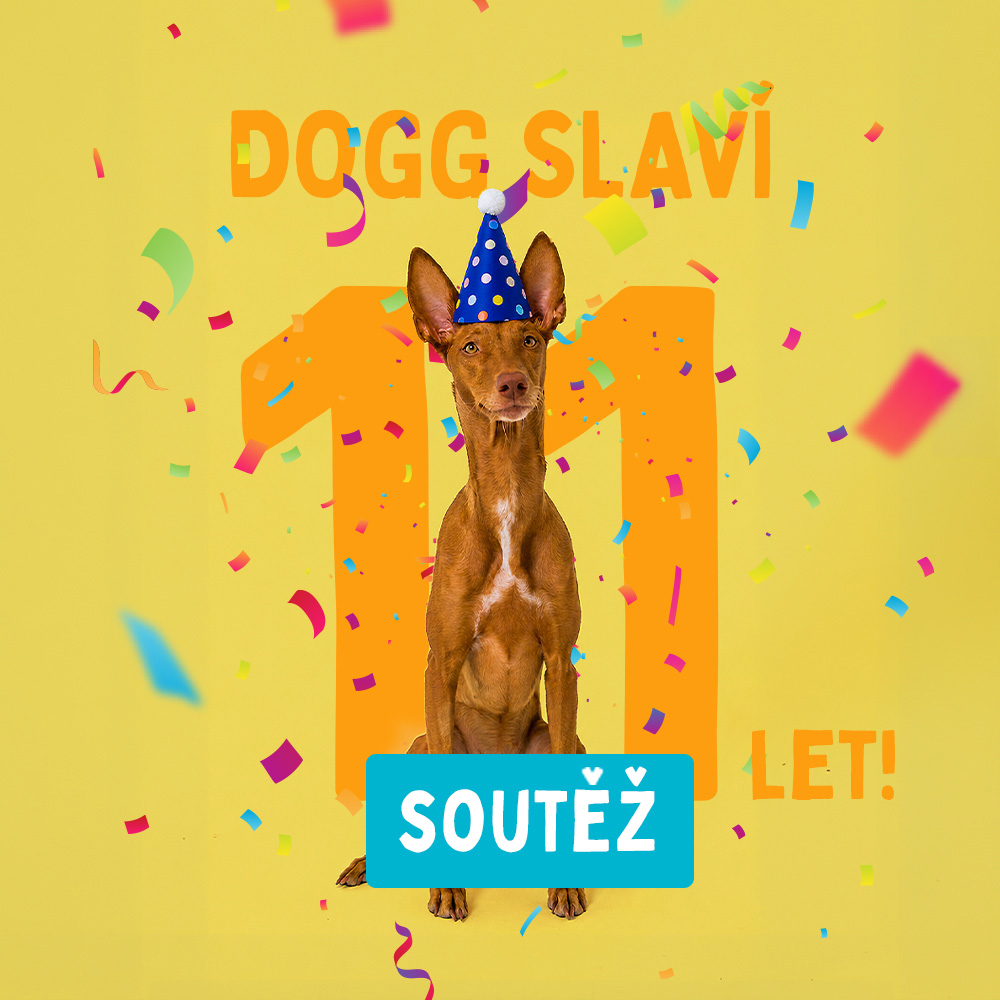 DOGG slaví 11 let, ale dárky dostaneš ty