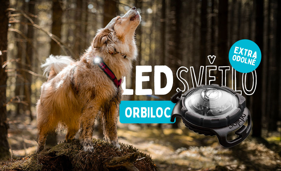 Světlo Orbiloc