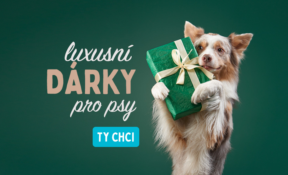 vánoční dárky pro psy