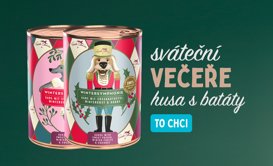 vánoční sváteční večeře pro psy
