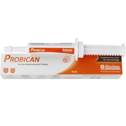probican pes prujem
