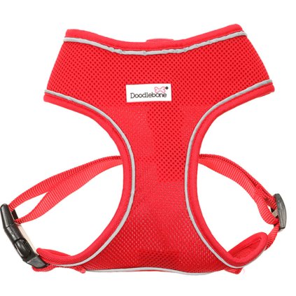Doodlebone Postroj Airmesh Ruby