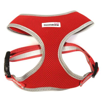 Doodlebone Reflexní postroj Airmesh Red - XS