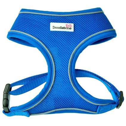 Doodlebone Postroj Airmesh Blue - DOPRODEJ - XS