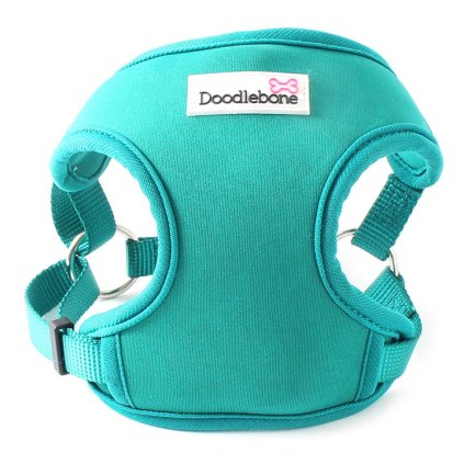 Doodlebone Postroj NeoFlex Turquoise M, XL - DOPRODEJ