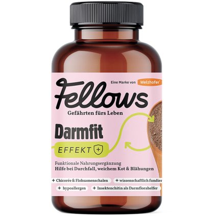 Fellows Darmfit Střevní pohoda 200 g