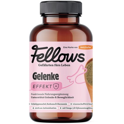 Fellows Gelenke Kloubní výživa 200 g