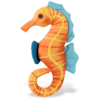 Play Mořský koník