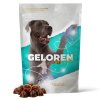 Geloren L-XL Pro velké psy Klouby, vazy, šlachy 60 tbl