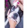 Ecopets Péče o oči 30 ml