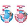 Kong Flyer Puppy Pink / Blue