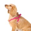 Doodlebone Lehký postroj Pink - XL
