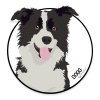 Samolepka Border kolie - kruh s bílým pozadím