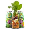 SmoothieDog Zeleninové smoothie pro psy 250 ml