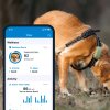 Tractive XL GPS pro velké psy s extra silnou baterií