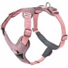 Hunter Postroj Divo Up Old Pink