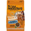 Fellows Hmyzí granule pro městské a méně aktivní psy Entspannter Genießer Pohodový gurmán 2 kg