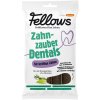 Fellows Hmyzí dentální tyčinky 160 g