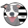 Samolepka Pitbulteriér - kruh s barevným pozadím
