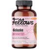 Fellows Gelenke Kloubní výživa 200 g