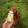Rufruf Vitamíny Kůže a srst 100 tbl4