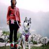 Woolly Wolf Postroj Alpha 360 Mauve Mix10