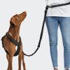 Cloud7 Vodítko na běhání s amortizérem Aktiv Black 250 cm4