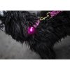 Orbiloc Pink LED světlo na obojek a postroj