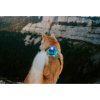 Orbiloc Blue LED světlo na obojek a postroj