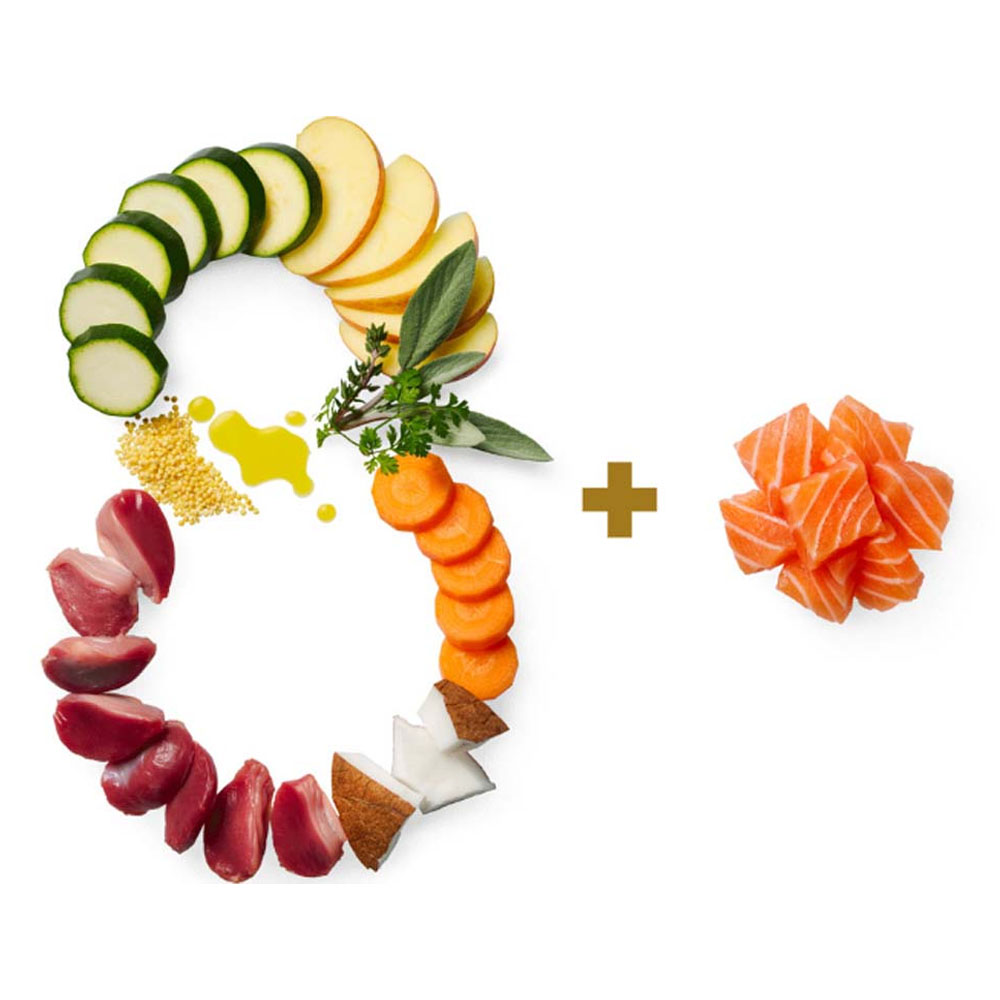 Objevte limitovanou kolekci od Terra Canis a další novinky