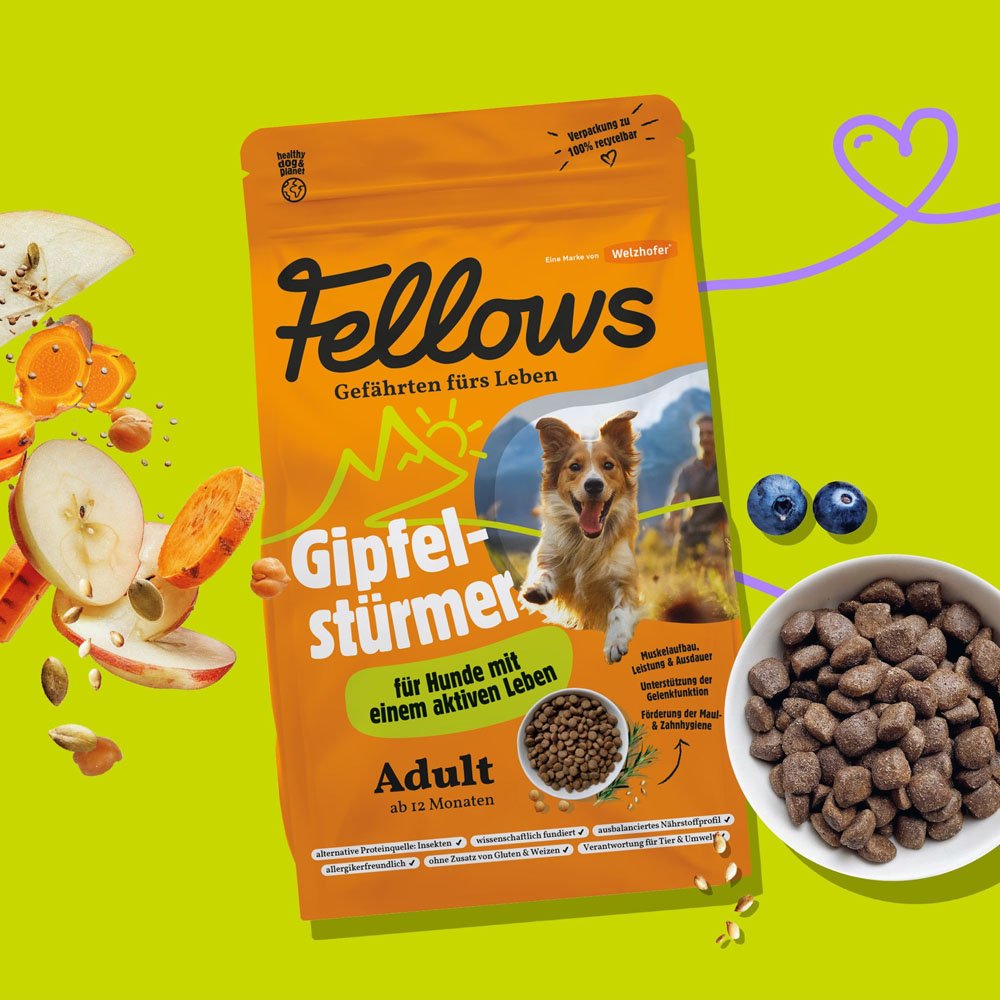 Eat Small je teď Fellows. Přináší ověřené i nové receptury